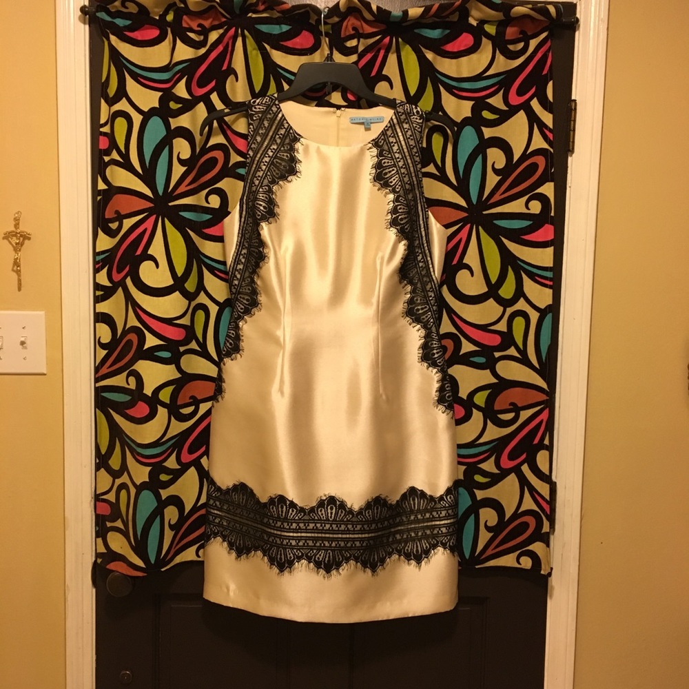 Antonio Melani Dress NWT size 12 Black & Cream